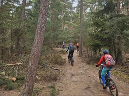 MTB 2025-4